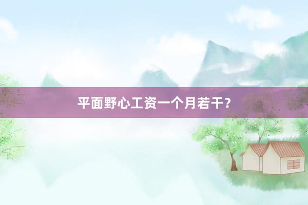 平面野心工资一个月若干？